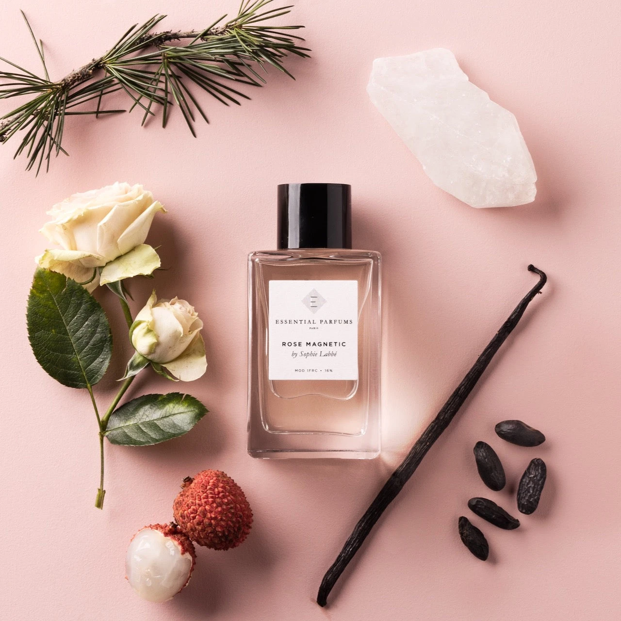 Rose Magnetic 4 Rose Magnetic - Image 4