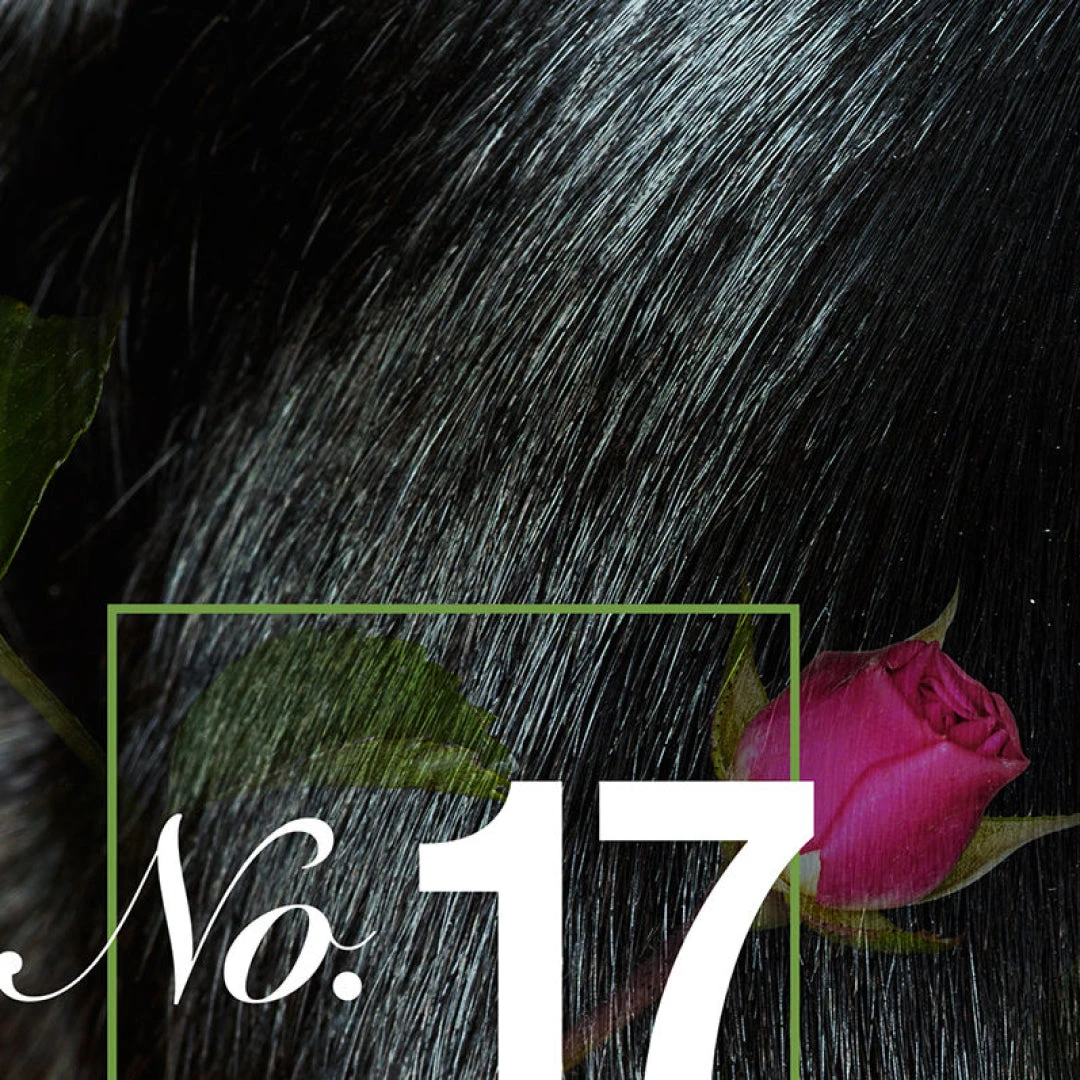 Scent No. 17 Civet Chypre 2 Scent No. 17 Civet Chypre - Image 2