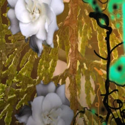 Jade Vines 6 Jade Vines -Perfume Fragrance Shop Jade Vines by Regime des Fleurs Ministry of Scent3