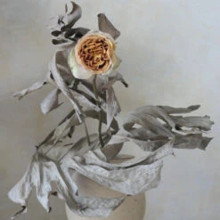 Là-Bas 6 Là-Bas -Perfume Fragrance Shop L2246252 2400x 82277a89 0438 4e5c a857 12a9764ae959