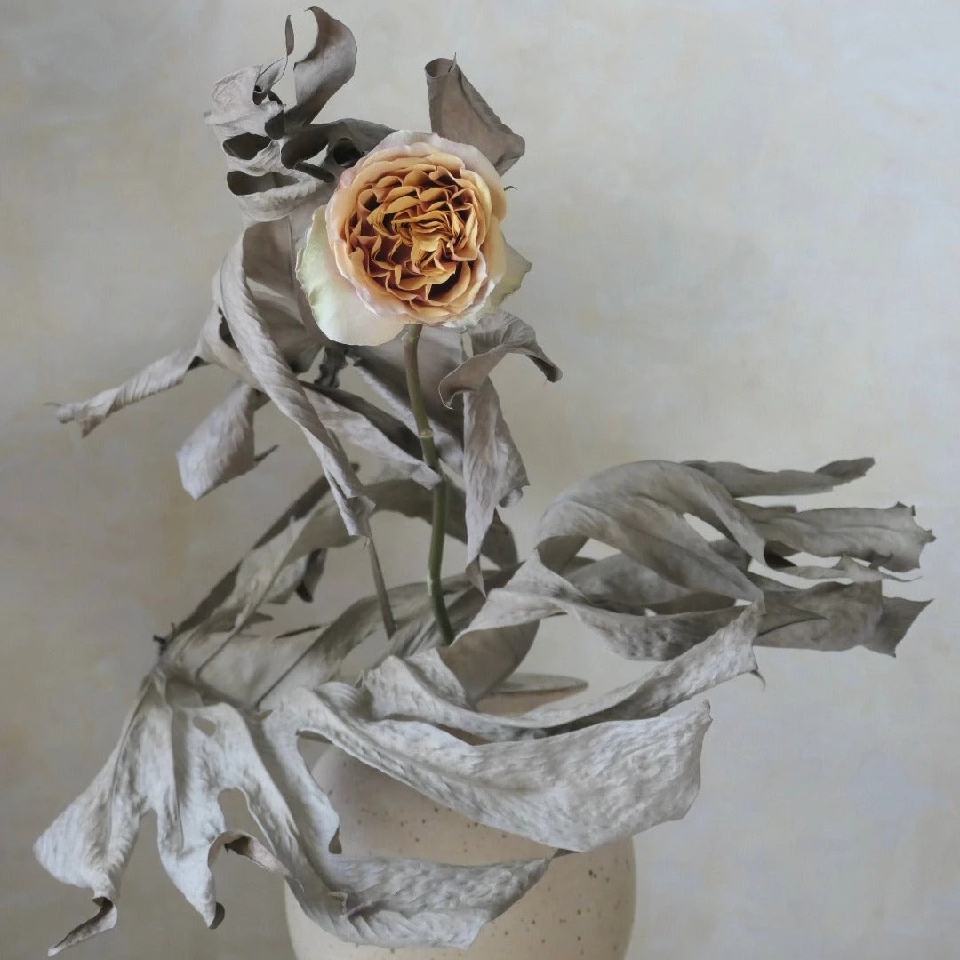 Là-Bas 3 Là-Bas - Image 3