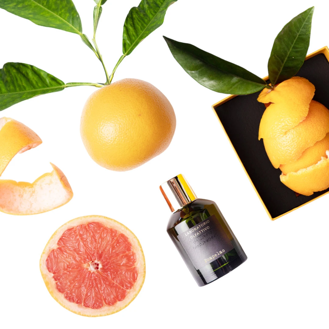 Pompelmo 3 Pompelmo - Image 3