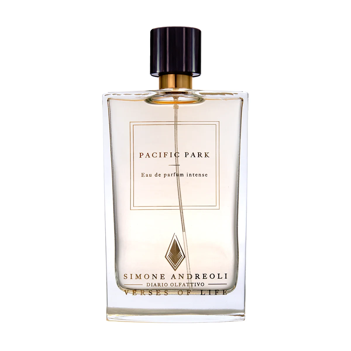 Pacific Park 1 Pacific Park