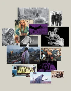 Purple Haze 10 Purple Haze -Perfume Fragrance Shop PurpleHaze