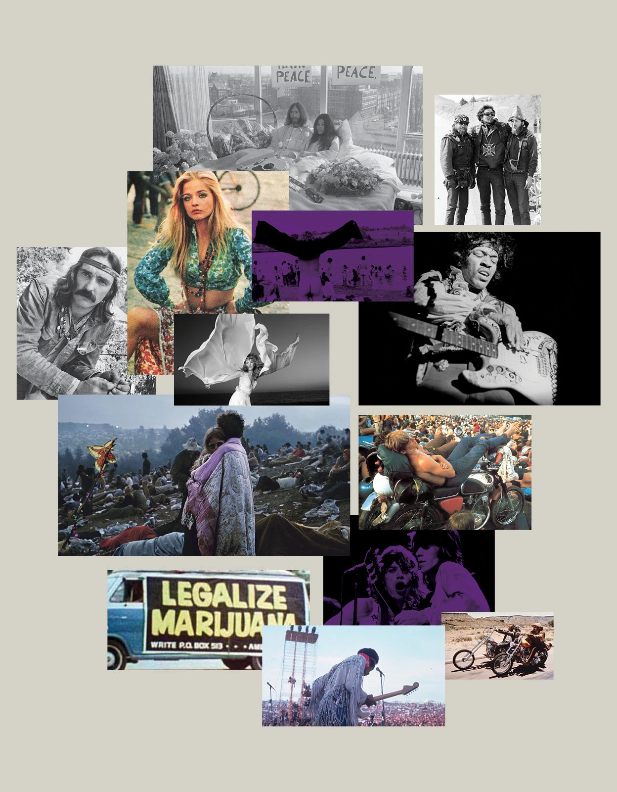 Purple Haze 5 Purple Haze - Image 5