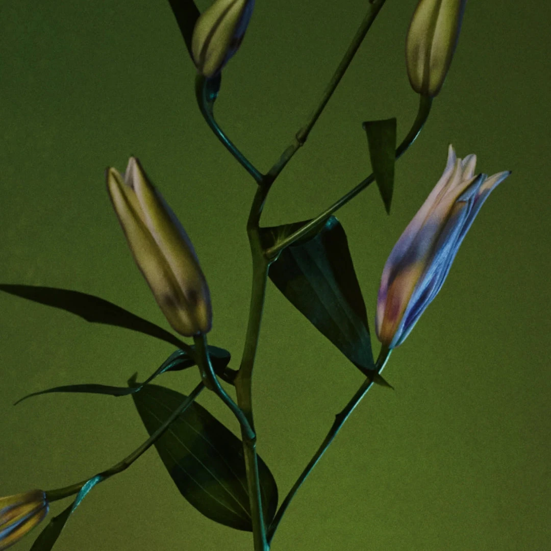 Rock River Melody 3 Rock River Melody - Image 3