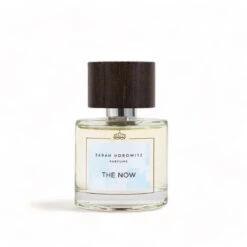 SHP Evolution - The Now