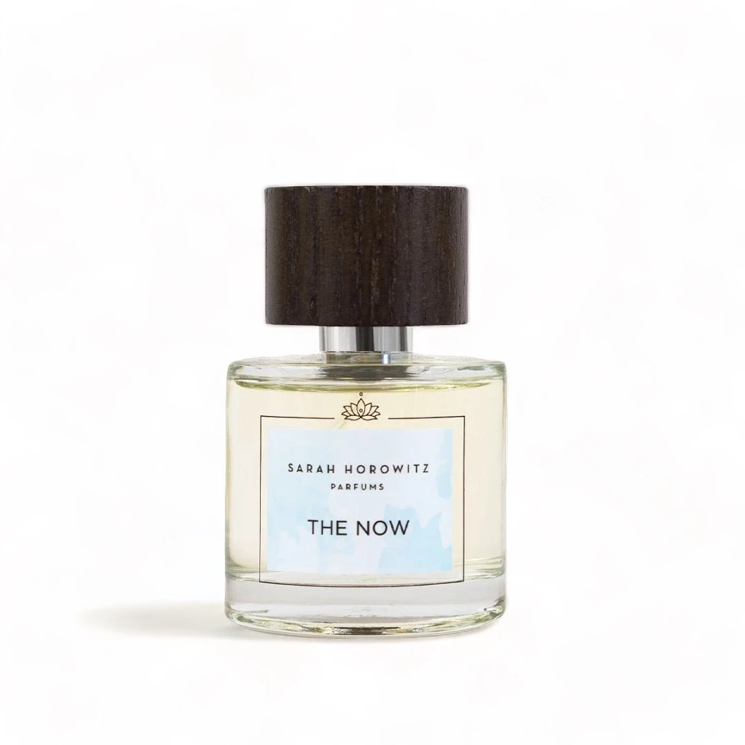 SHP Evolution - The Now 1 SHP Evolution - The Now