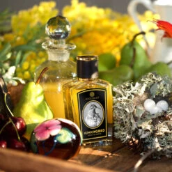 Hummingbird -Perfume Fragrance Shop ZoolistPerfumes Scene Hummingbird