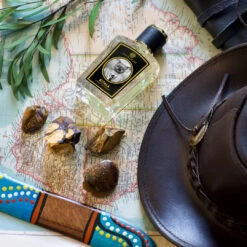 Koala -Perfume Fragrance Shop ZoolistPerfumes scene koala