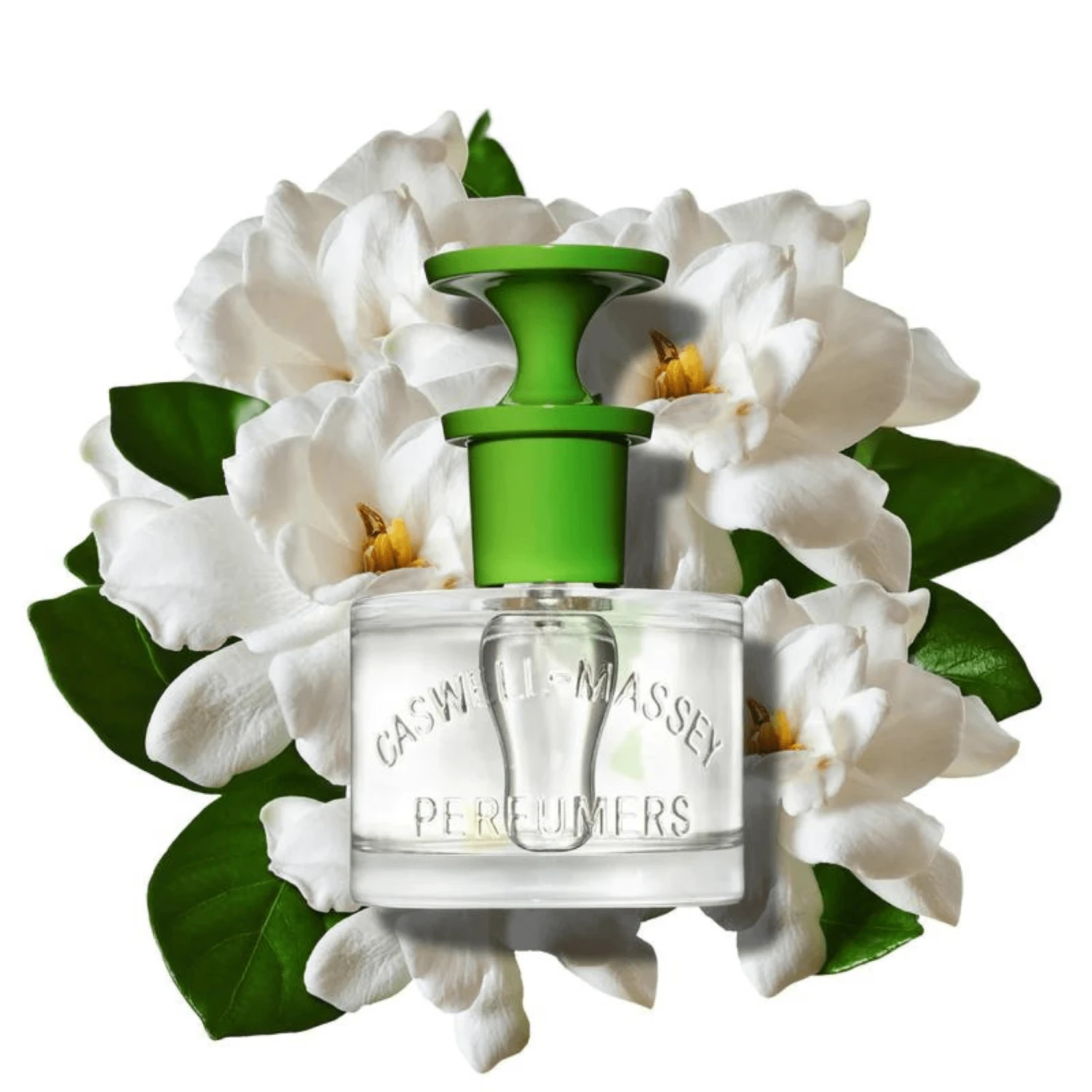 Caswell-Massey Gardenia Eau De Toilette (60 Ml) #10085850 3 Caswell-Massey Gardenia Eau De Toilette (60 Ml) #10085850 - Image 3