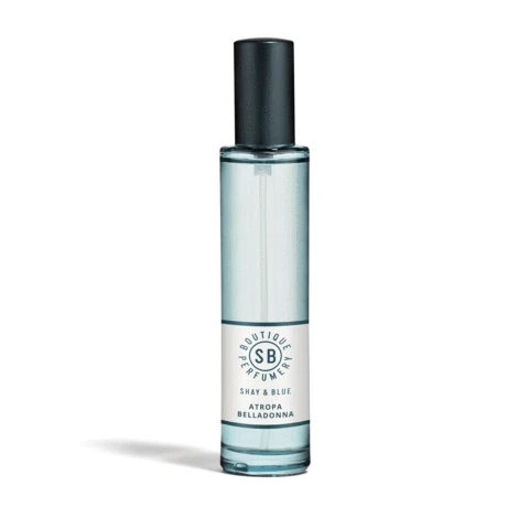 Atropa Belladonna 5 Atropa Belladonna - Image 5