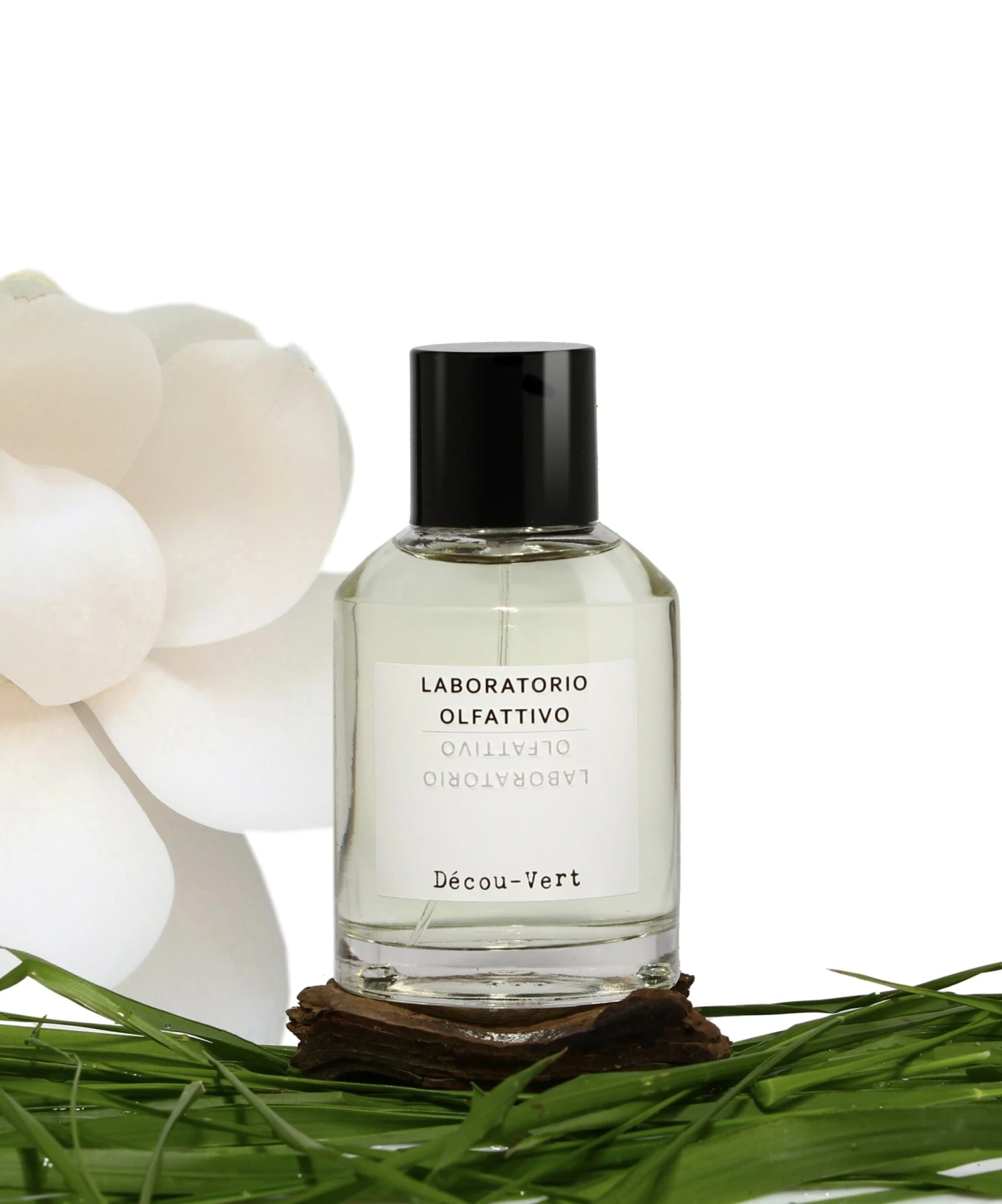 Décou-Vert 3 Décou-Vert - Image 3