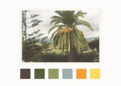 Perfume Fragrance Shop -Perfume Fragrance Shop image 3f0255d5 f8b5 4ccb b43a 7553ea2b6b30