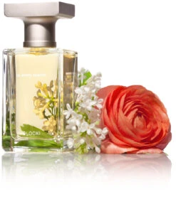 In Every Season -Perfume Fragrance Shop image 4727b59b ce95 4649 9e8b 7fd16a39365c
