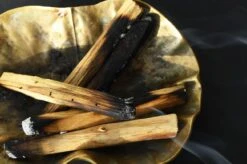 Smudge -Perfume Fragrance Shop image 8268a62d 126d 4bf1 afdf a640c4420fff