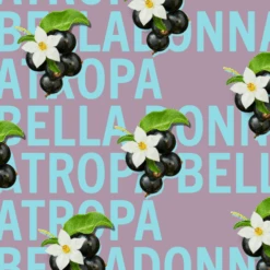Atropa Belladonna 14 Atropa Belladonna -Perfume Fragrance Shop image 83a9ede2 e11e 49b2 937e 466dfe8c26c7