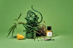 Dirty Grass -Perfume Fragrance Shop image 84992315 3445 4c6b bf48 b207f16a54ed