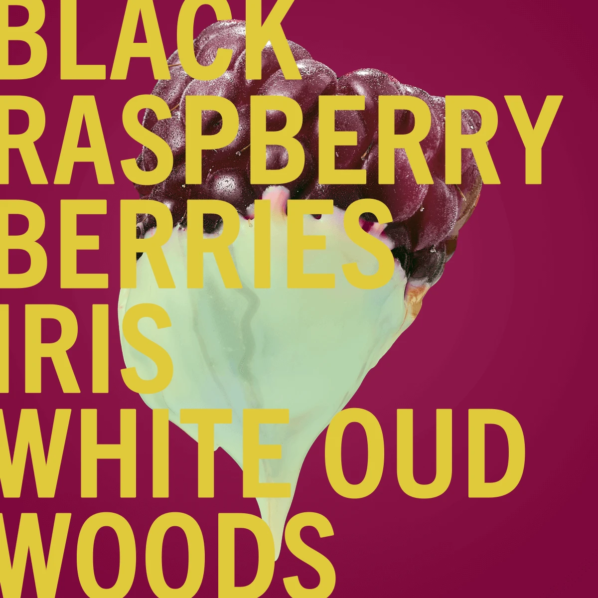 Framboise Noire 6 Framboise Noire - Image 6