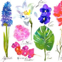 St. Regis Caroline's Four Hundred Room Spray -Perfume Fragrance Shop image ab40cb6b 7d44 4847 afd2 45d43b5b266e