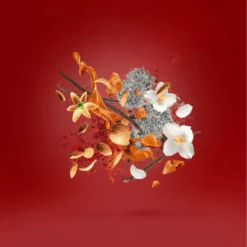 Casamorati Italica EDP (30 Ml) #10086773 5 Casamorati Italica EDP (30 Ml) #10086773 -Perfume Fragrance Shop italicanotes