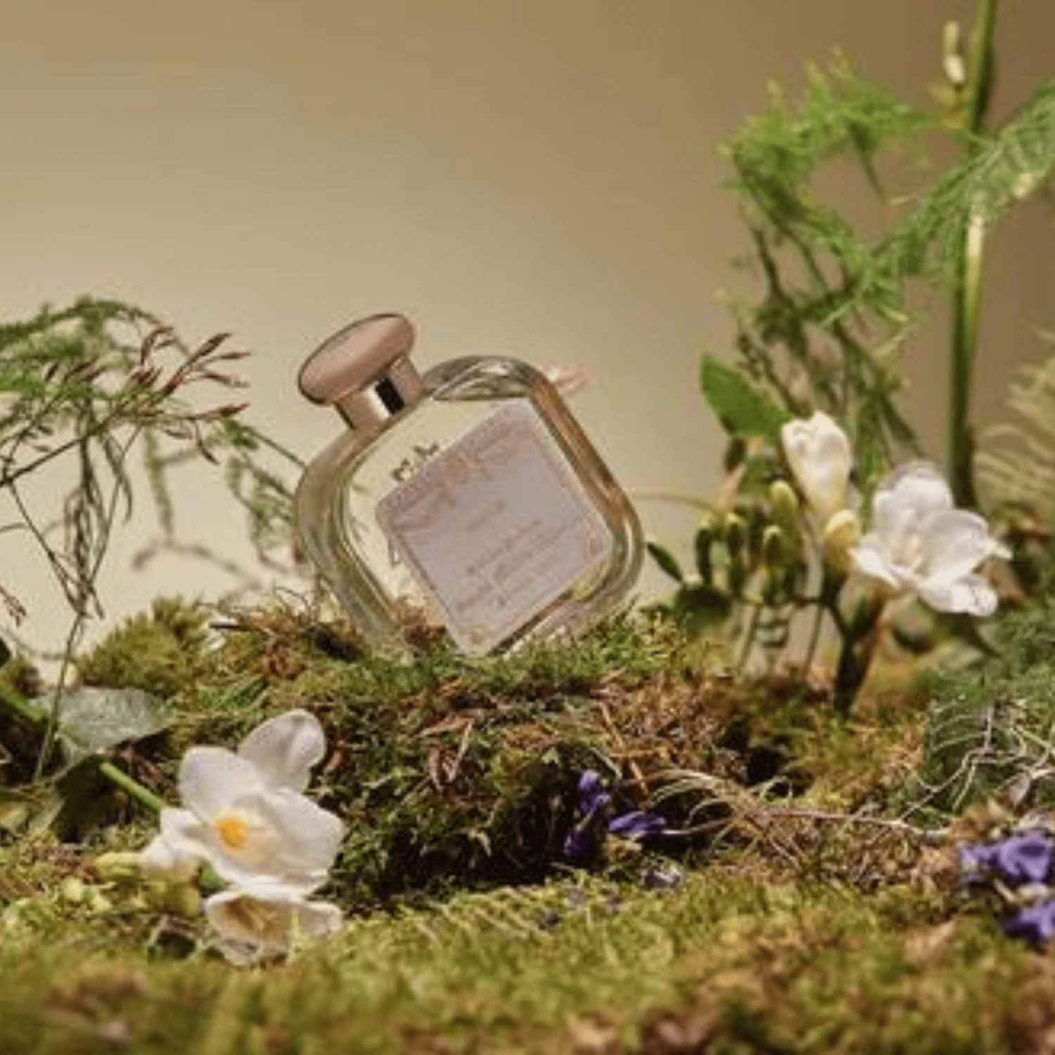 Santa Maria Novella Freesia (Fresia) Eau De Cologne (100 Ml) #22083 4 Santa Maria Novella Freesia (Fresia) Eau De Cologne (100 Ml) #22083 - Image 4