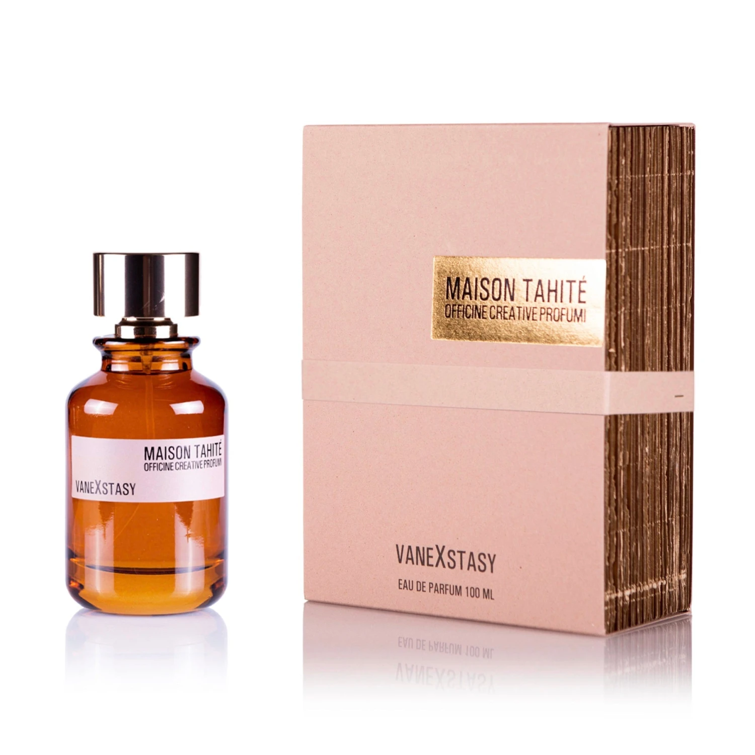 VaneXstasy 2 VaneXstasy - Image 2